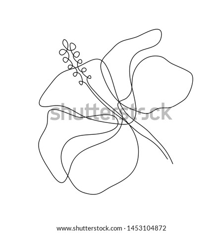 Hibiscus Flower Drawing | Free download on ClipArtMag