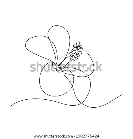 Hibiscus Flower Outline | Free download on ClipArtMag