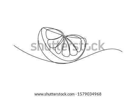 Orange fruit slice in continuous line art drawing style. Black line sketch on white background. Vector illustration