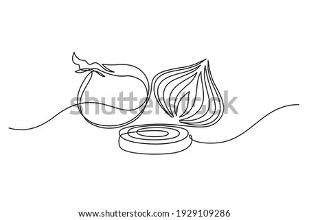 Onion in continuous line art drawing style. Onion whole bulb, half cut and ring sliced minimalist black linear sketch isolated on white background. Vector illustration