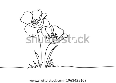 Poppy flowers in continuous line art drawing style. Doodle floral border with two flowers blooming among grass. Minimalist black linear design isolated on white background. Vector illustration
