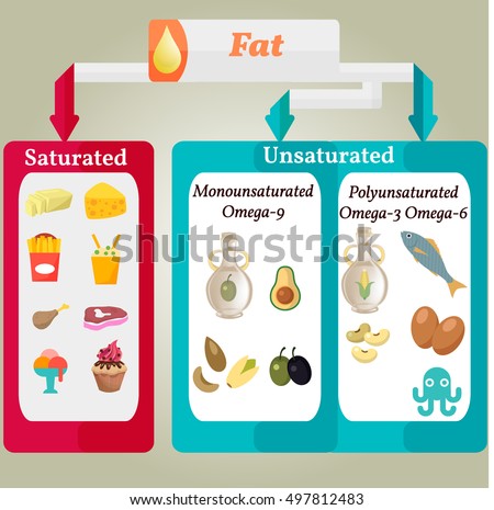 Vector Infographic:  Proper nutrition  Fat Saturated Unsaturated 