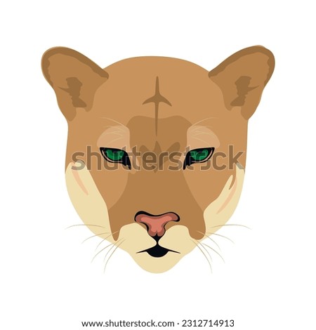 Portrait of puma cougar in flat vector illustration. Colorful Mountain lion or Puma concolor head isolated on white background. Muzzle of cougar in Flat and cartoon style. vector illustration