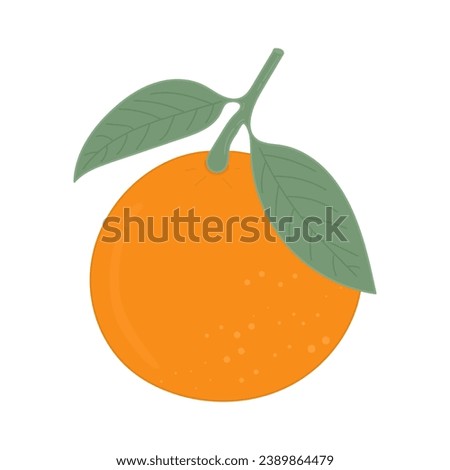 Fresh whole Tangerine in colored flat style. Mandarin fruit with green leaves isolated on white background. Clementine orchard plant. Juicy natural and healthy fruit. Citrus vector illustration