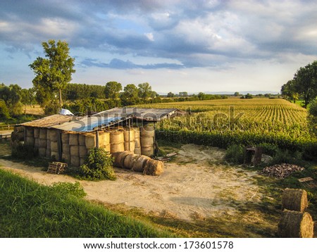 MANTUA, ITALY - AUGUST 23: Haystacks under a shelter with golden corn field seen at the sunset in Mantua area, August 23, 2008