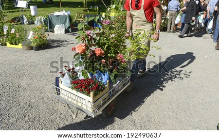 MILAN, ITALY-MAY 09, 2014: push cart with roses and plants transported during the floral market exhibition Orticola, in Milan.