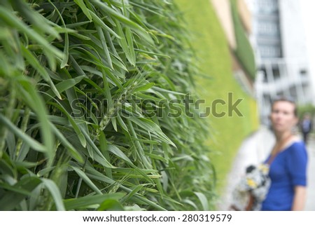MILAN, ITALY-MAY 04, 2015: vertical green plantations on the Israel pavillion at EXPO 2015, food is the main topic of this italian edition, in Milan.