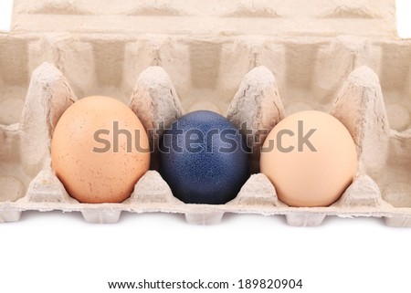 Cardboard egg box with easter eggs. Isolated on a white background.