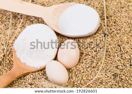 Close up of two spoon full of flour.