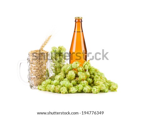 Beer bottle and glasses full of grains and hops. Isolated on a white background.