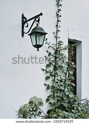 Image, Stock Photo Green door entwined with ivy