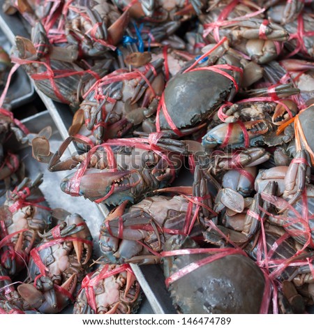 Fresh crabs sold in the market mornings.