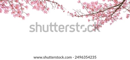 Similar – Image, Stock Photo Branch of a Japanese blood maple, glowing