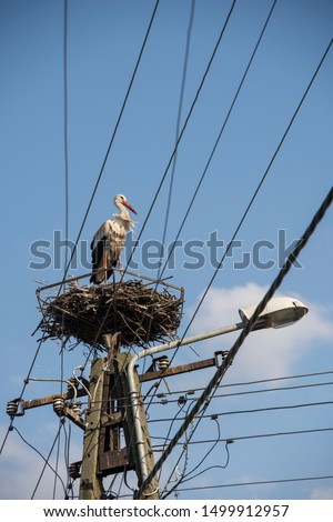 Image, Stock Photo a stork nest somewhere in Brandenburg