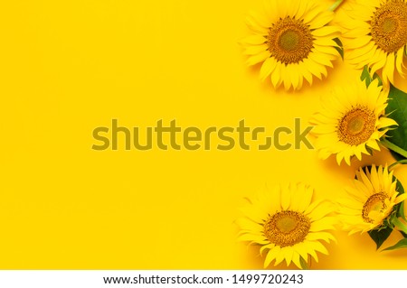 Download Shutterstock Puzzlepix