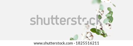 Flying cotton flowers, green twigs of eucalyptus on light gray background. Creative Floral background with cotton, delicate flowers of fluffy cotton. Flat lay flowers composition, greeting card