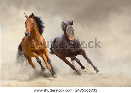 Similar – Image, Stock Photo #AS# forward Desert