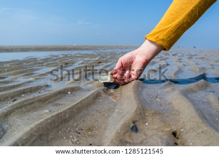 Similar – Image, Stock Photo Man stands with Frisian mink on the coast in the dunes