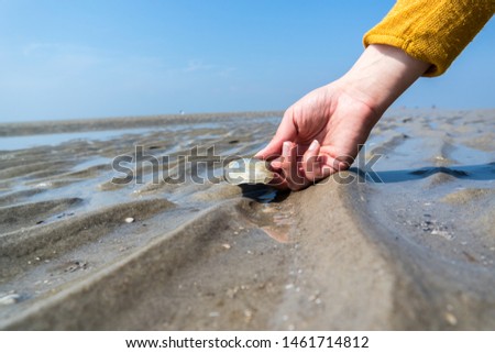 Similar – Image, Stock Photo Man stands with Frisian mink on the coast in the dunes