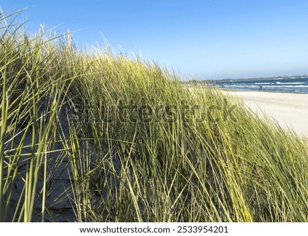 Similar – Foto Bild Fields on Ruegen in summer