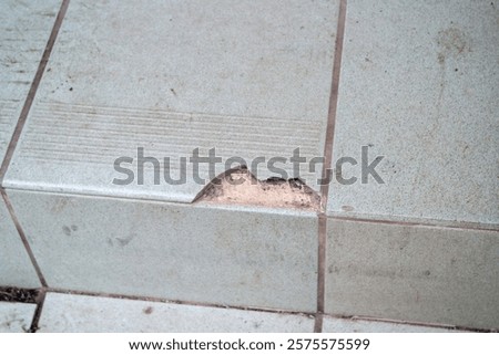 Similar – Image, Stock Photo old staircase / entrance with artistic glass inlays