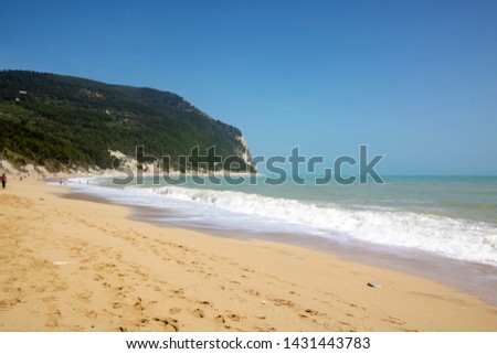 Shutterstock Puzzlepix