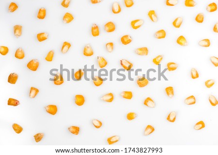 Similar – Image, Stock Photo Dried corn seeds at factory