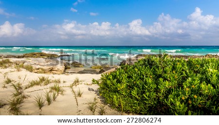 Caribbean sea scenery in Playadel Carmen, Mexico