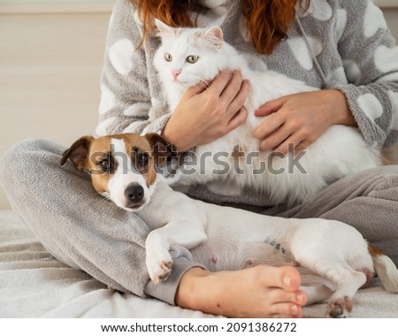 Similar – Foto Bild Frau mit Jack-Russell-Terrier-Welpen im Freien. Beziehungen und Tierpflegekonzept