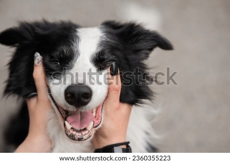 Similar – Image, Stock Photo Woman caressing dog at home