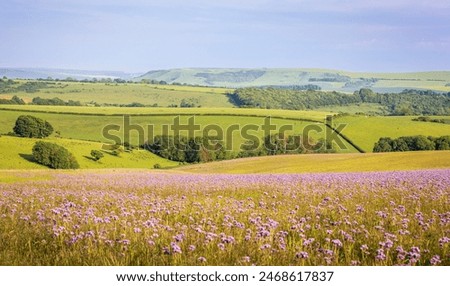 Similar – Image, Stock Photo Beacon on hill near sea at sunset