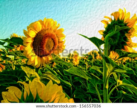 sunflowers oil painting illustration background