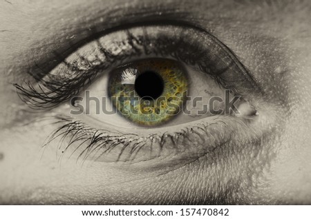 woman green eye isolated macro