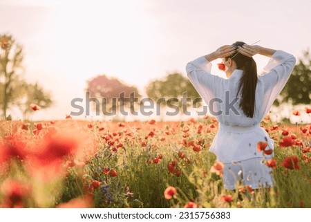 Similar – Image, Stock Photo Flower in the backlight. It looks like it has thorns.