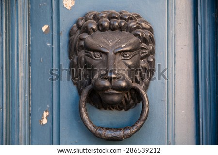 The close-up of an old door handle in a shape of lion head
