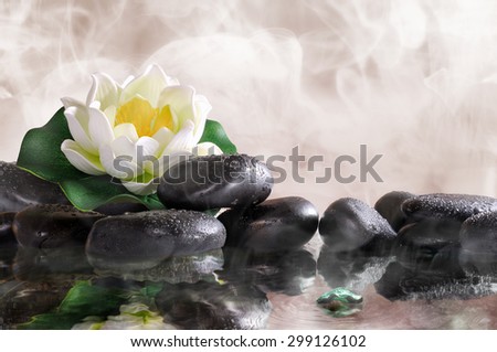 Water lily on black stones in the warm water, steam background. Spa, relaxation, meditation and health concept.