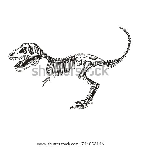 Dinosaur Bones Template | Free download on ClipArtMag