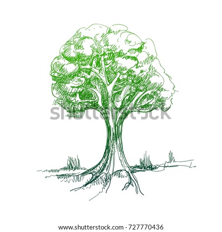 drawing a tree by hand