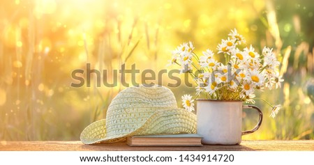 Similar – Image, Stock Photo Light in August flowers