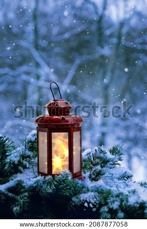 Image, Stock Photo Garden in winter Evening