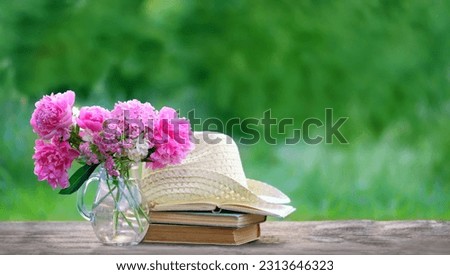 Similar – Image, Stock Photo Light in August flowers