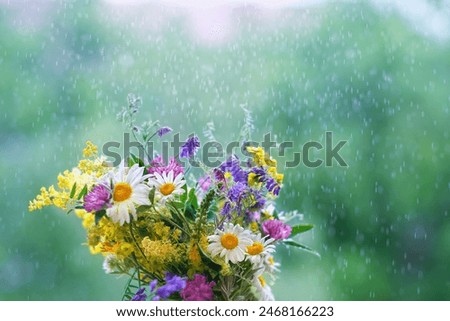 Similar – Image, Stock Photo rainy Garden Spring Rain