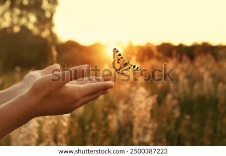 Similar – Image, Stock Photo Lightness // Flying free as a bird.