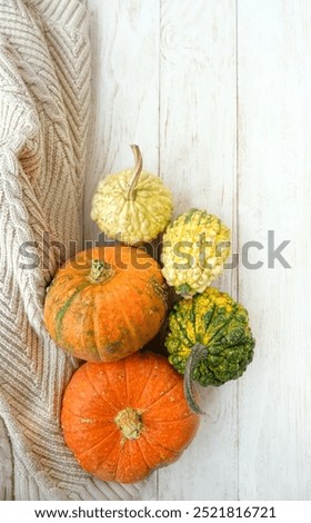 Similar – Foto Bild Herbstzeit, Halloweenzeit