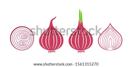 Onion logo. Isolated onion on white background. Part