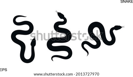 Snake silhouette. Isolated snake on white background