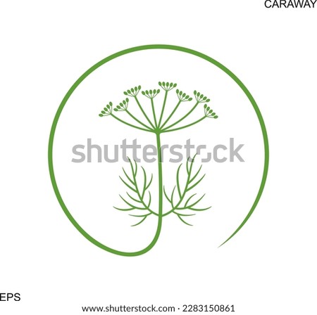 Caraway logo. Isolated caraway on white background