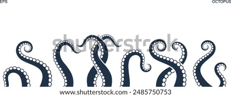 Octopus tentacles. Isolated octopus tentacles on white background