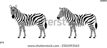 Zebra logo. Isolated zebra on white background