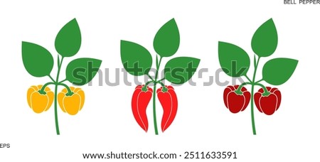 Bell Pepper logo. Isolated Bell Pepper  on white background. Paprika